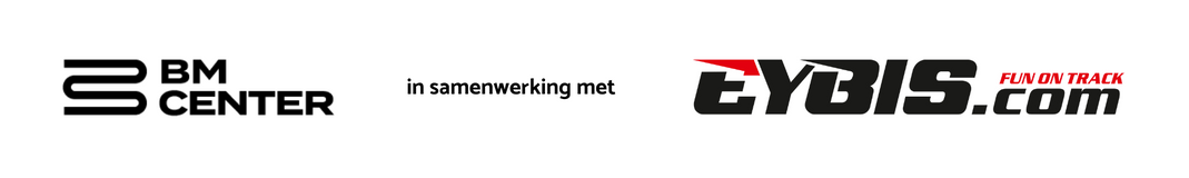 Logo EYBIS