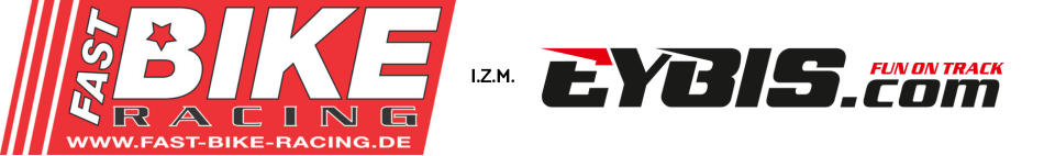Logo EYBIS
