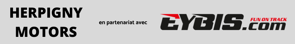 Logo EYBIS